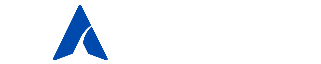 Exercice VueMatin Logo